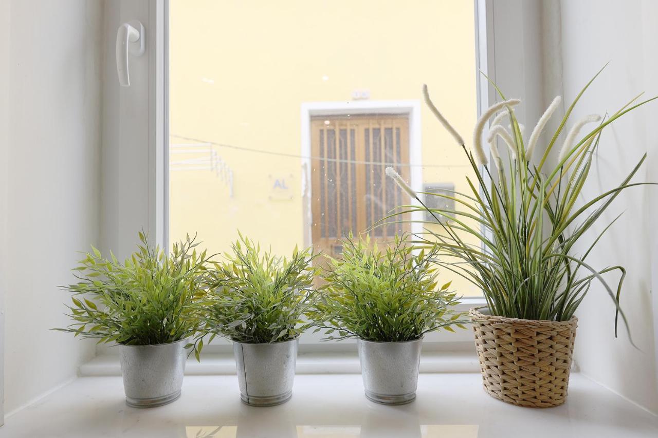 Flh Fontainhas Homey Mezzanine Porto Dış mekan fotoğraf